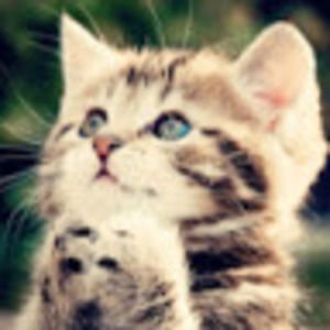 Meet your Posher, Maddie